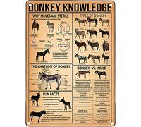 Letreros Metalicos Infografías De Conocimiento sobre Burros, Educación Y Conocimiento Cartel Retro Placas para Cocina Playa Biblioteca Cafetería M