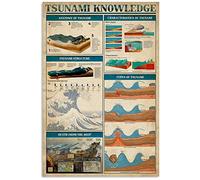 Letreros metálicos informativos sobre tsunamis para decoración de aulas, infografías científicas sobre tsunamis, carteles de hojalata para decoración del hogar, la habitación o la escuela, 30 x 40 cm