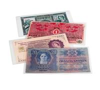 Leuchtturm 341222 Hojas para Billetes de Banco, Basic 210 x 127 mm