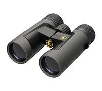 Leupold Bx-2 181177 - Prismáticos Alpine HD, 10 x 42 mm