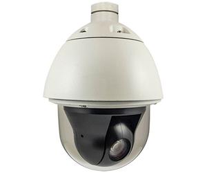 LevelOne 4042 PTZ Dome Outdoor PoE Cámara IP (2 Mpx)