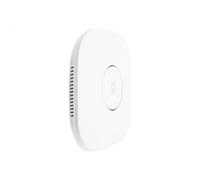Levelone - Dual Band Ap n750 PoE cpnt Ceiling Mount 1xfe PoE 2X WAN in