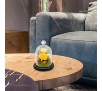 Levemolo Cubierta de Vidrio para Flores Preservadas Tapa Decorativa Micropaisaje Adorno para Centro de Mesa de Boda Color Transparente Color Aleatorio