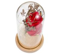 Levemolo Rosa de Jabón Preservada Roja Luz LED y Cubierta de Cristal Flor Eterna Decorativa para San Valentín Lámpara Romántica para Hogar y Obsequio Especial