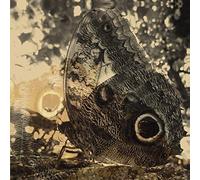 Levi, Louise Landes - Ikiru Or the Wanderer