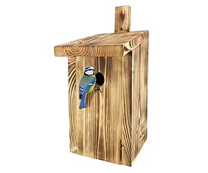 Leviatan PARIDAE Cajas Nido Pájaros del Carbonero Común, Madera Maciza, retorcido Pajareras Resistentes a la Intemperie, latón, Perfekt, Listo para Usar, no Requiere Montaje