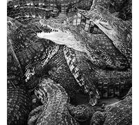 Emilie Levienaise-Farrouch - Like Water Through The Sand