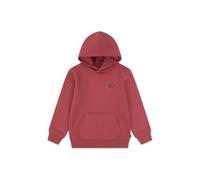 Levi's Boys Mini Batwing Hoodie Cardinal Talla: 3Y | Ropa Deportiva Outlet | kids | Rojo