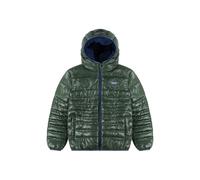 Levi's Boys Sherpa Lined Puffer Jacket Eden Talla: 14Y | Chaquetas Outlet | kids