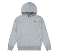 Levi's Po-Pull-Over Hoody Sudadera, Brezo Gris, 10-16 ANS para Niños