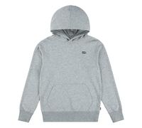 Levi's Po-Pull-Over Hoody Sudadera, Brezo Gris, 2 Años para Niños