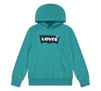 Levi's Po-Pull-Over Hoody Sudadera, Porcelana Verde, 10-16 ANS para Niños