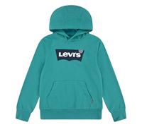 Levi's Po-Pull-Over Hoody Sudadera, Porcelana Verde, 3 años para Niños