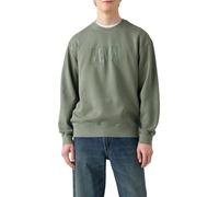 Levi's Relaxd Graphic Crew Sudadera, Ssnl Serif Laurel WR, L para Hombre