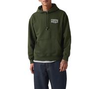 Levi's Relaxed Graphic PO Sudadera, Serif Logo One Kombu, S para Hombre