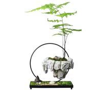 Levitating Plant Pot - Iron Resin Floating Bonsai Planter Decorative