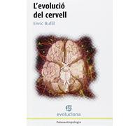 L'Evolució Del Cervell