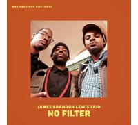 Lewis James Brandon - No Filter [Vinilo]