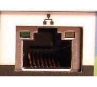 Lexmark 44D0005 Optra S/T 10/100 Interno Ethernet Nic