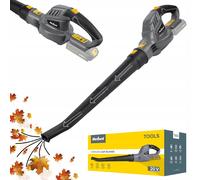 Ley inalámbrica de 20 V soplando