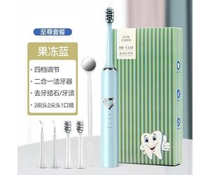 Leyeet Removedor de placa de sarro eléctrico con 4 modos, 4 espejos orales, 1 placa para dientes humanos, removedor de placa eléctrica para dientes y dientes, removedor de placa de dientes ónicos, placa de cálculo, remo