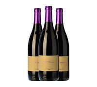 Leyenda del Páramo El Médico Prieto Picudo Vino de la Tierra de Castilla y León Joven 75 cl Vino tinto (Caja de 3 Botellas de 75 cl)