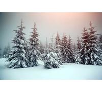 Leyiyi - Fondo para fotografía de montaña con Cubierta de Nieve, diseño de Bosque Blanco con Texto Merry Christmas