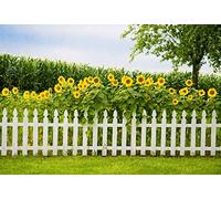 Leyiyi - Telón de fondo natural para fotografía de 5 x 3 pies, diseño de girasoles amarillos con textura de madera blanca
