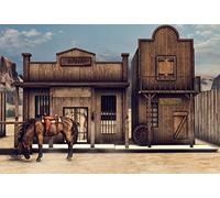 Leyiyi - Telón de fondo para fotografía de cochera, diseño rústico, cactus de música, arena del desierto, accesorios de madera para caballos de granero