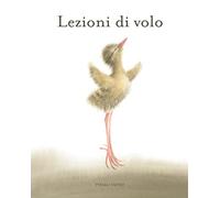 Lezioni di volo. Ediz. illustrata (Album illustrati)