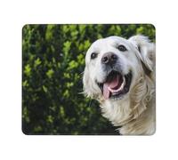 LfearTesa Alfombrilla de ratón Impermeable, Alfombrilla de ratón con Base de Goma, Alfombrilla de ratón Cuadrada,Divertido Golden Retriever Impreso