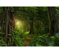 LFEEY 9 x 6 pies Fairytale Rainforest Foto Fondo de Fiesta de cumpleaños para niños Eventos decoración Evergreen Bosque Selva Natural Paisaje fotografía Fondo Ropa Foto Estudio Props