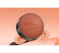 LFZNB Fragancia para Salidas de Aire del Coche, aromaterapia para vehículos, Accesorio Decorativo, Material de Cuero Napa, Aroma a Colonia. para Jaguar.,Orange