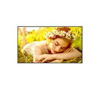 LG 43UL5Q-E Cartelera webOS 4K UHD de 43" para funcionamiento ininterrumpido