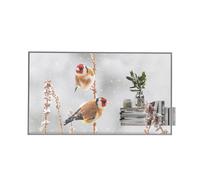 LG 55EW5P-M Señalización OLED transparente