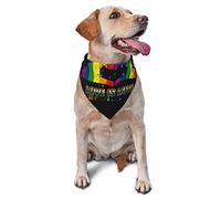 LGBTQ Gay Pride Rainbow Pride Month Lesbian Bisexual Dog Bandanas Mascota Bufanda Triángulo Babero Niño Niña Pañuelo Ajustable Accesorios para Cachorros pequeños, medianos y Grandes