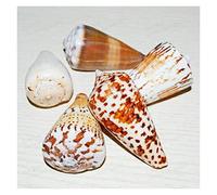 LGFDC Calcomanía para Parabrisas Delantero y Trasero de Coche para MG MG6 I 2015-2017, Etiqueta Engomada de La Ventana del Coche Banda Parasol