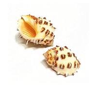 LGFDC Calcomanía para Parabrisas Delantero y Trasero de Coche para MG MG6 II 2017-2020, Etiqueta Engomada de La Ventana del Coche Banda Parasol