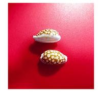 LGFDC Calcomanía para Parabrisas Delantero y Trasero de Coche para MG ZS EV 2021-, Etiqueta Engomada de La Ventana del Coche Banda Parasol