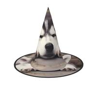 LGHHGY 1 sombrero de Halloween - Husky Dog Print Witches Decor Party, accesorio de juego de rol, gorra mágica de mago para mujeres y hombres