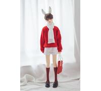 LGJFDL 1/3 1/4 Scale Red Sweater Shorts Scarf Bag Socks Clothes for 45 cm/60 cm Masculino/Female Action Figure Doll Clothes Toy (1/3)
