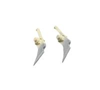 LgvzOcs Garra de separación del fusor Superior, AE044099 AE04-4099, Compatible con MP4000 MP4001 MP4002 MP5000 MP5001 MP5002 4002SP
