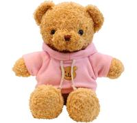 LGWJHCY Oso de Peluche Con Capucha de 30 cm, Lindo Regalo Juguete (Rosado)