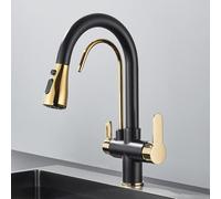 LGYGMD Black Filtered Crane for Pull out Spray Rotation Water Filter Tap Three Ways Sink Mixer Kitchen Faucet,Type A,Black Gold