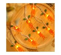 LGYGMD Garden Creative Fruit Shape Hanging Warm White Copper Wire Novelty Fairy String Lights for Home Christmas Party Decor