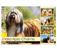 Lhasa Apso Charme. Die kleinen Hüter des Glücks (Tischkalender 2026 DIN A5 quer), CALVENDO Monatskalender: Die Schönheit und das stolze Wesen des Lhasa Apso in malerischen Szenen