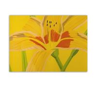 LHHJF LJHFA Alex Katz Pósters de moda Flores de dibujos animados Pintura en lienzo Arte moderno de pared e impresiones Alex Katz Imagen Decoración de sala de estar para el hogar 50x70cmx1 Sin marco