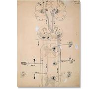 LHHJF LJHFA Dibujo Neurona Santiago Ramón Y Cajal Póster Y Grabados Dibujo Neurona Santiago Ramón Y Cajal Lienzo Pintura Arte Mural Decoración 40x60cm Sin Marco