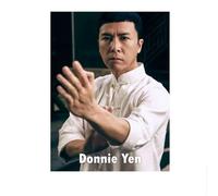 LHHJF LJHFA Póster de maestro de kung fu chino Ip Man Donnie Yen Arte de pared Wing Chun Master Pintura en lienzo e impresiones para decoración del hogar Imagen 50x70cm Sin marco