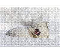 LHJOY Puzzle 1000 Piezas Animal de Nieve de Lengua de Lobo Regalo de cumpleaños 75x50cm